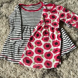 Touched by nature organic cotton long sleeve dress bundle 2T